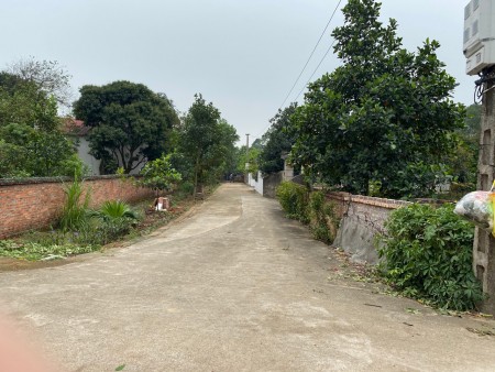 Đi đến slide 7