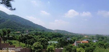 Đi đến slide 10