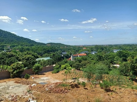 Đi đến slide 11
