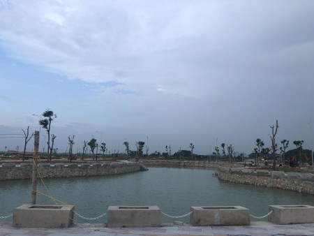 Đi đến slide 8