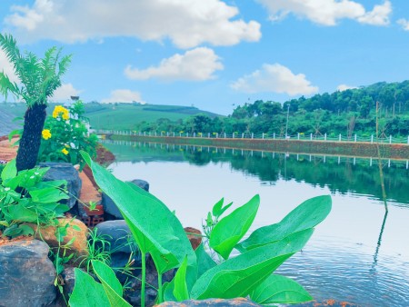 Đi đến slide 4