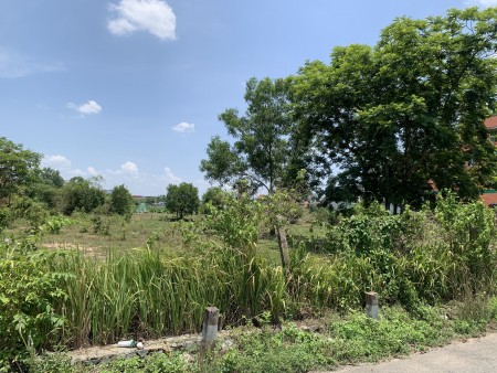 Đi đến slide 7