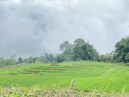 Đi đến slide 4