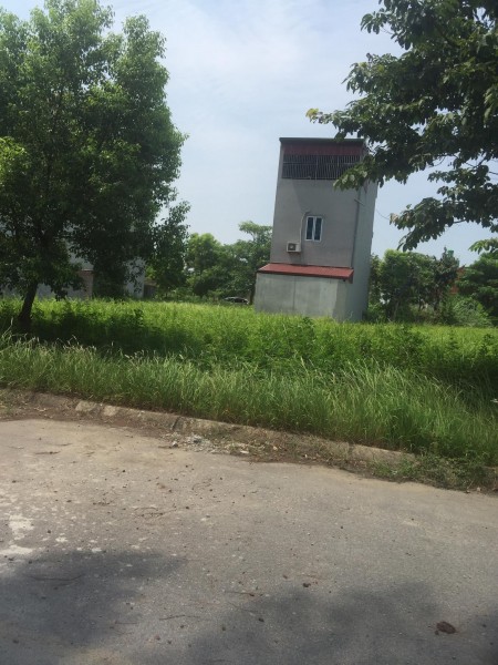 Bán đất tại Dự án New City Phố Nối, Yên Mỹ, Hưng Yên diện tích 100m2