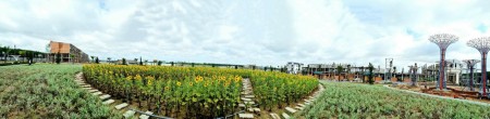Cơ hội đầu tư sinh lời không giới hạn, ngay tại cửa ngõ sân bay Long Thành