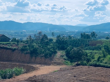 Bán đất thị trấn Nam ban, view rừng thông cách Đà Lạt 25km, sổ chính chủ, bàn giao ngay
