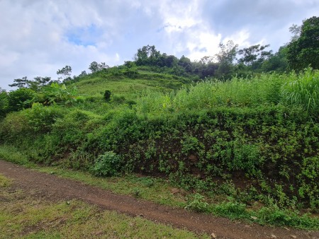 Đi đến slide 7