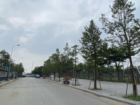 Đi đến slide 6