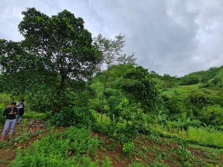 Đi đến slide 5
