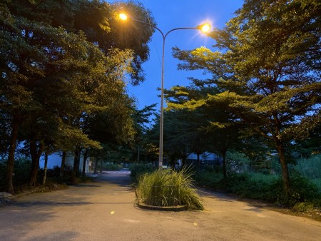 Đi đến slide 9