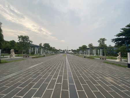 Đi đến slide 5