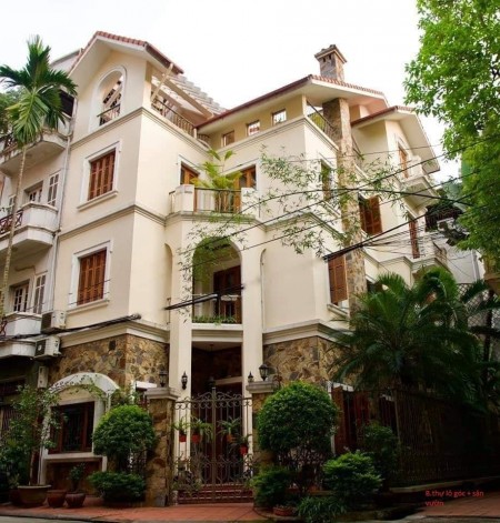 Tuyệt phẩm tiểu biệt thự, 2 bước ra Phố Láng, 3 mặt tiền, giá cực yêu thương 9,6 tỷ