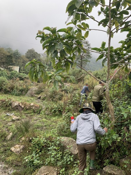 Đi đến slide 4