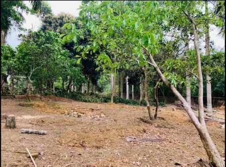 Đất diện tích 5100m2 có 400m thổ cư Hoà Sơn Lương Sơn Hoà Bình, giá bán 8.x tỷ