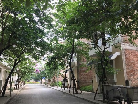 Đi đến slide 11