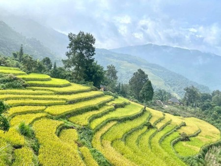 Bán gấp lô đất SAPA 2 Lào Cai view đẹp vị trí đắc địa phù hợp làm du lịch, giá đầu tư