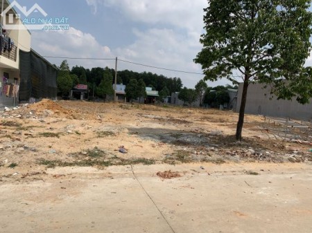 Gia đình kinh doanh thua lỗ nên cần bán lô đất 300m2 chính chủ, dân đông, an toàn pháp lý