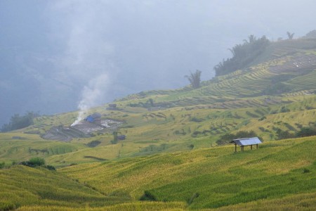 Bán đất du lịch 4 mùa Y Tý -Sapa 2 thích hợp đầu tư dịch vụ homestay
