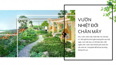 Đi đến slide 7