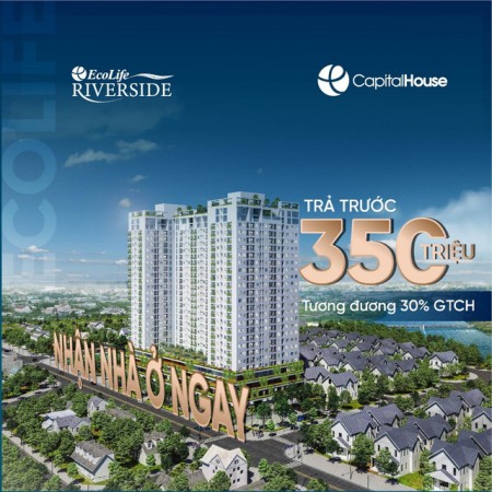Tim đâu 1 căn hộ thành phố quy nhơn giá chỉ 990 triệu