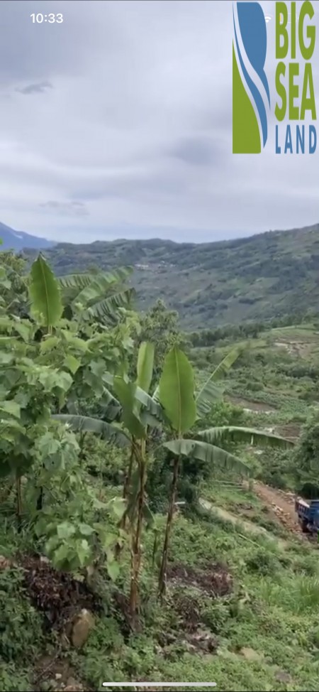 Đất nền y tý(sapa2) đầu tư biên độ lợi nhuận cao, vị trí đắc địa, khu dân cư
