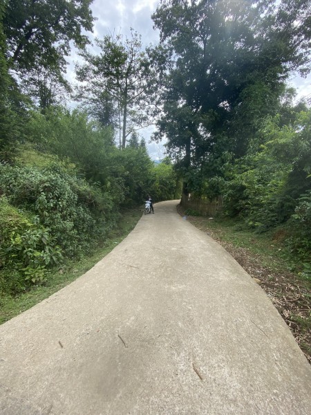 Đi đến slide 5