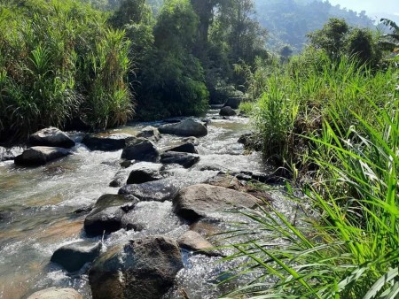 Đi đến slide 3