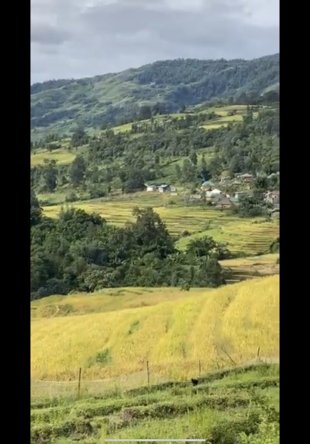 Đi đến slide 5