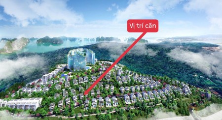 Chuyển nhượng đất biệt thự đồi Monaco Hạ Long liên hệ trực tiếp0968129240