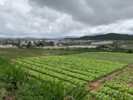 Đất nghỉ dưỡng tại Ka Đơn, Đơn Dương, Lâm Đồng, sổ hồng có sẵn công chứng ngày
