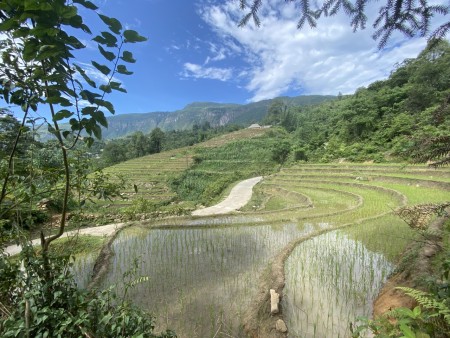 Y Tý Sapa 2. Siêu đẹp có 1 không 2 chỉ có tại đây, giá bán thoả thuận chính chủ