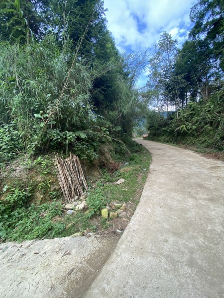 Đi đến slide 3