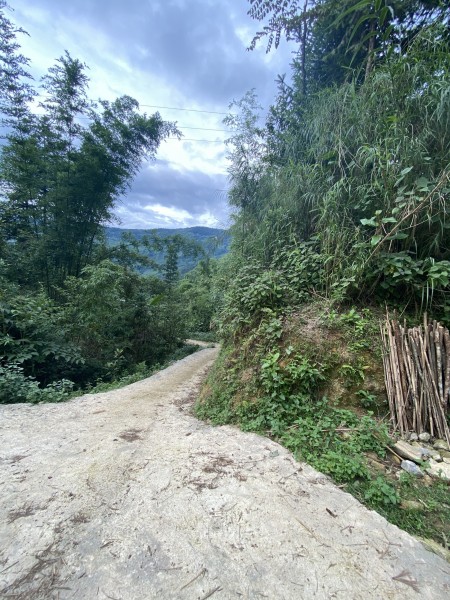 Đi đến slide 5