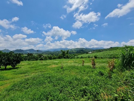 3030m2 full đât vườn , ( có thể lên thổ cư ) Dũng Phong Cao phong