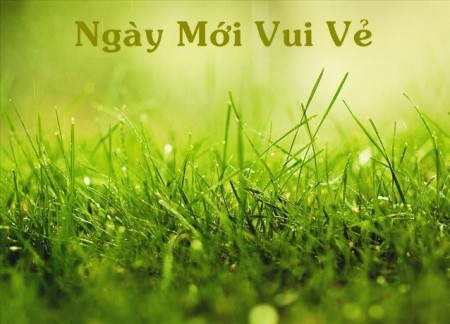 Đi đến slide 11