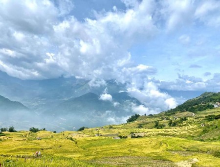 Đi đến slide 2