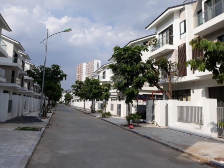Đi đến slide 8