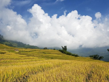 Đón đầu thị trường Bất động sản Y Tý- Sapa 2, giá thỏa thuận, diện tích rộng