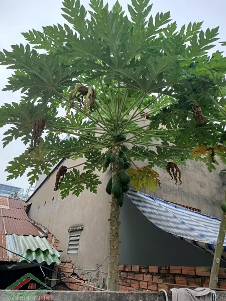 Đi đến slide 2