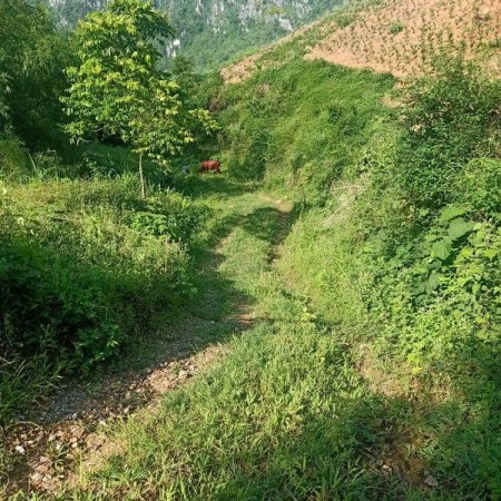 Đi đến slide 1