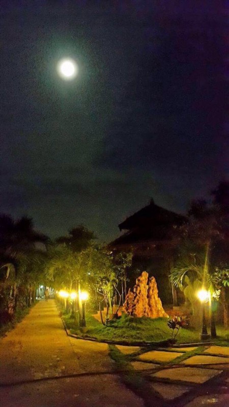 Đi đến slide 3