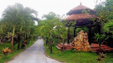 Đi đến slide 5