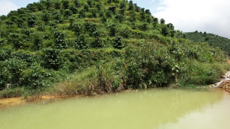 Đất mặt tiền đường view đồi Xã Đại Lào thành phố Bảo Lộc, vị trí đắc địa