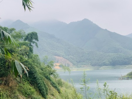 Đi đến slide 8