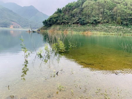 Đi đến slide 7