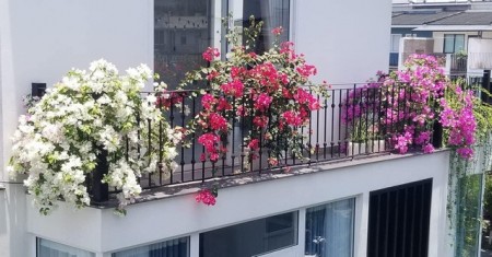Bán nhà An Dương Vương, Tây Hồ, ô tô đổ cổng lô góc nhà mới tinh dt 30m2, 5 tầng, giá 3 tỷ