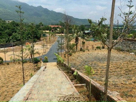 Đi đến slide 8