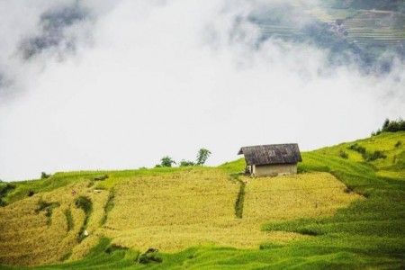 Bán đất lô siêu đẹp tại y tý sapa2 nơi đầu tư đầy sáng suốt ngay bây giờ, giá đầu tư