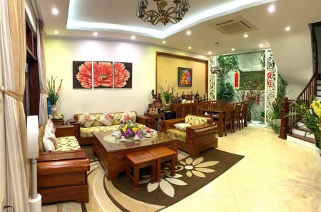 Nhà phân lô diện tích siêu rộng 100m2, MT 10m Lê Trọng Tấn nội thất sang trọng đẳng cấp