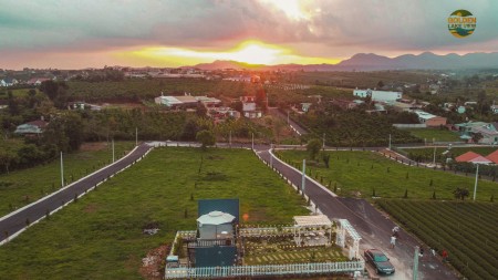 Nhà vườn nghĩ dưỡng Bảo Lộc Golden Lake view- tuyệt tác bên hồ, nơi lí tưởng để bản thân tận hương
